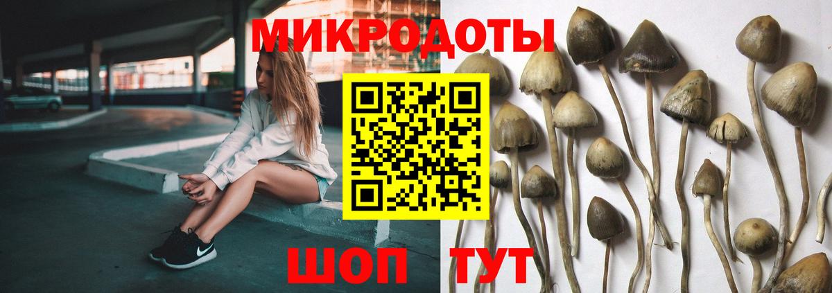 где продают   Псилоцибиновые грибы Magic Shrooms  Пушкино  Вход с VPN  Галлюциногенные грибы мухоморы 